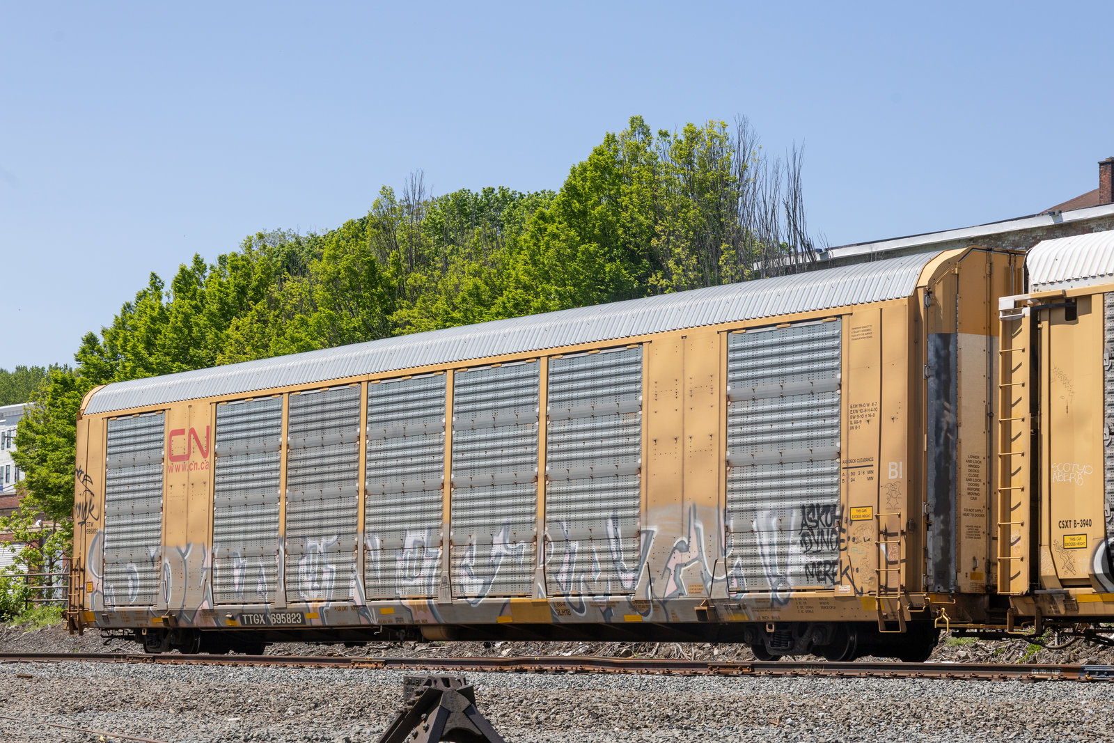TTGX 695823