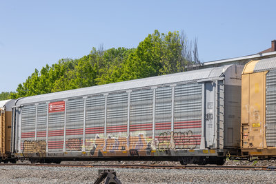 TTGX 706895