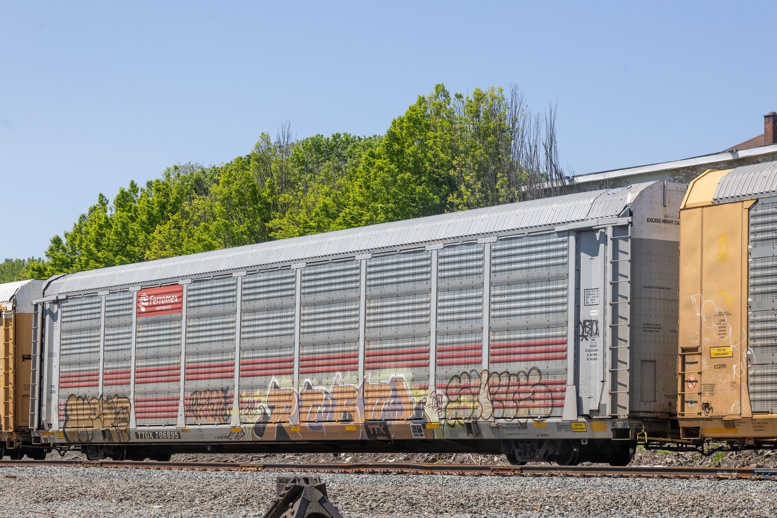 TTGX 706895