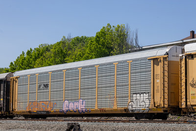 TTGX 707124