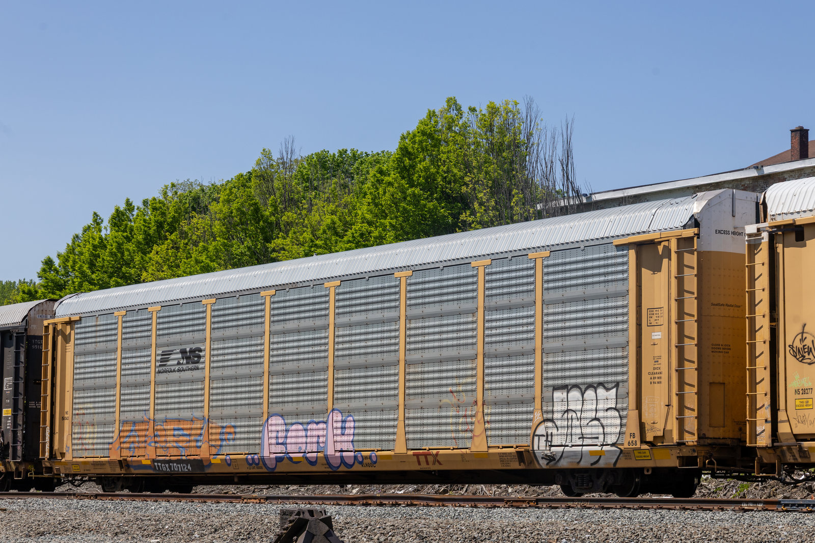 TTGX 707124