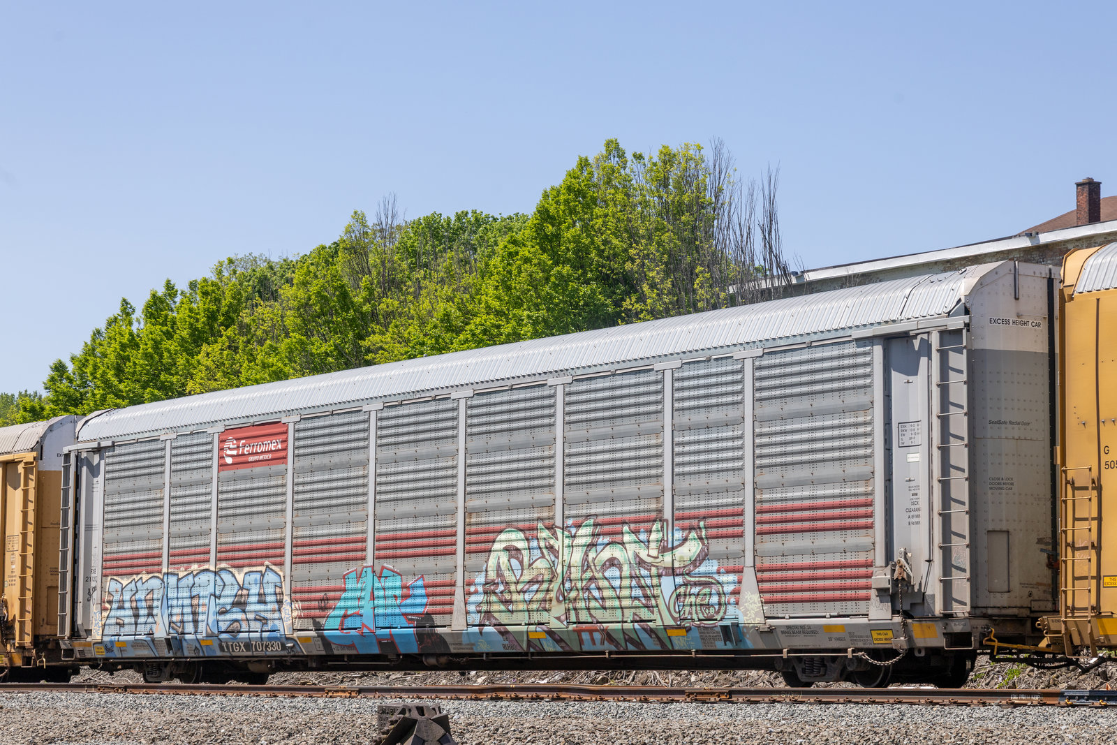 TTGX 707330