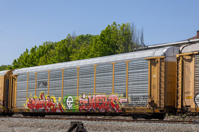 TTGX 711429
