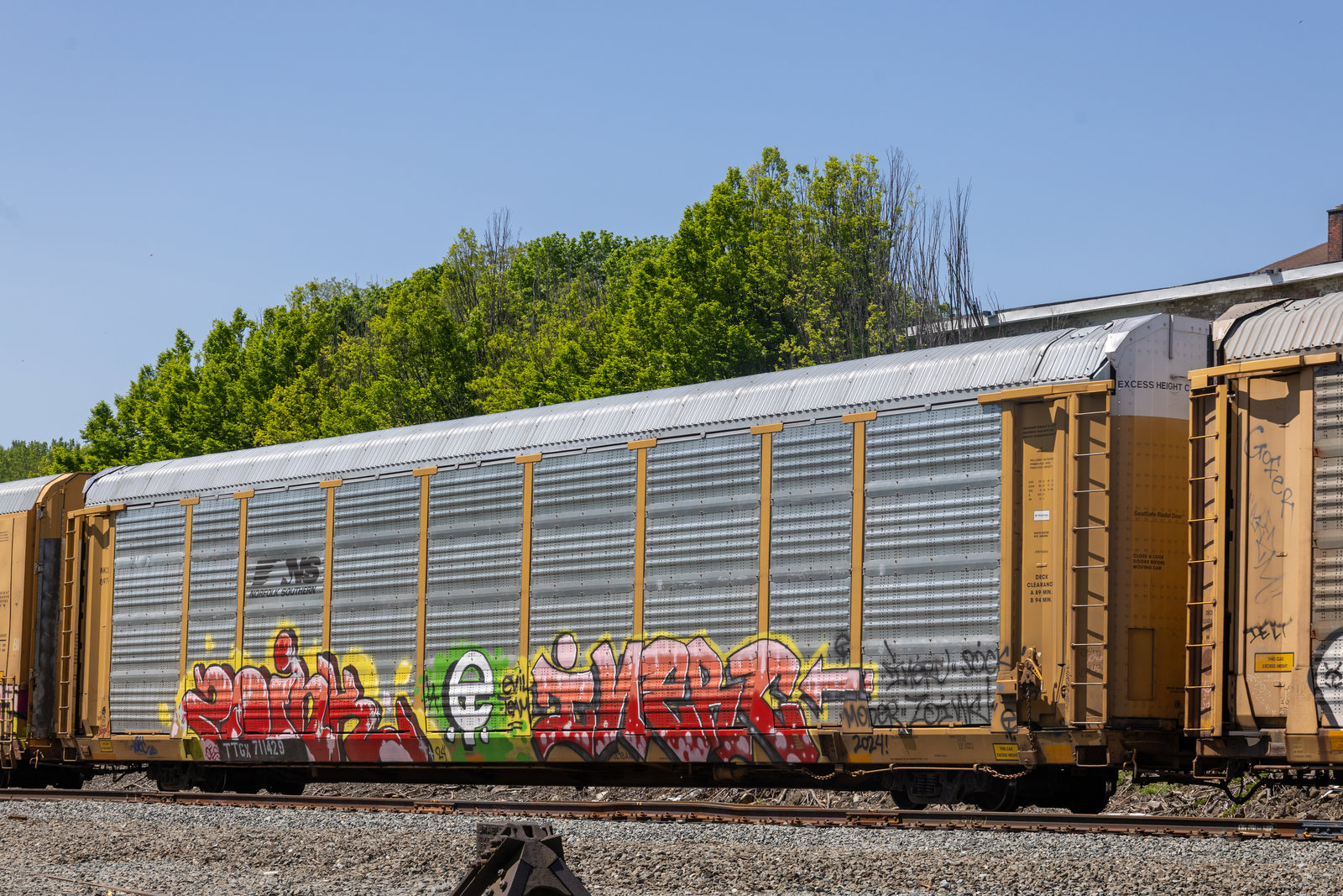 TTGX 711429