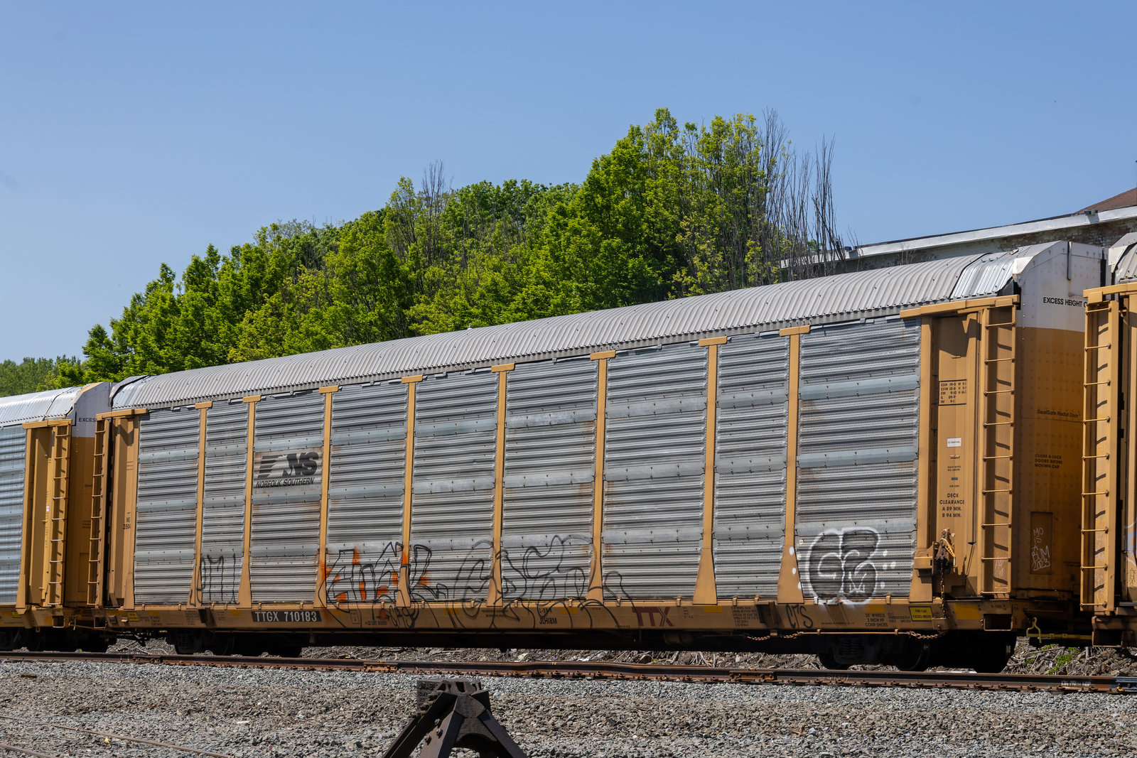 TTGX 710183