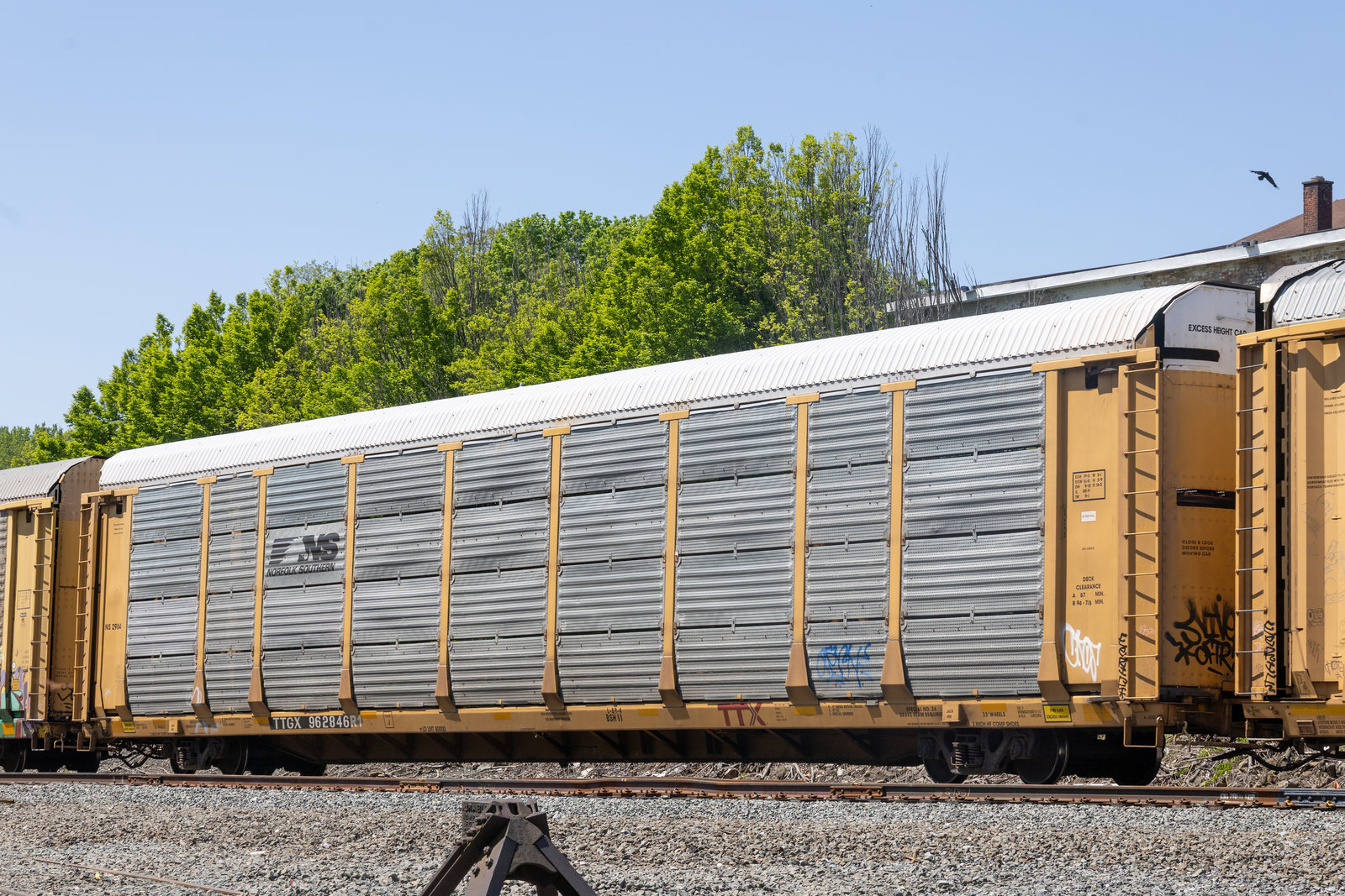 TTGX 962846