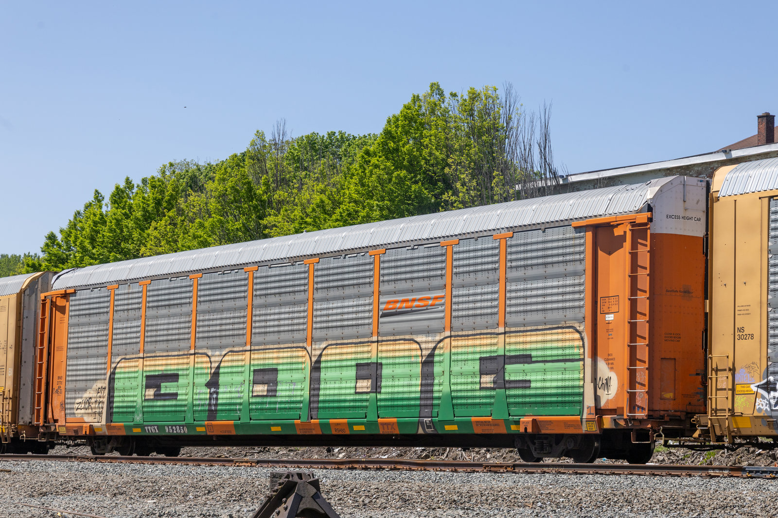 TTGX 952850