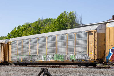 TTGX 704200