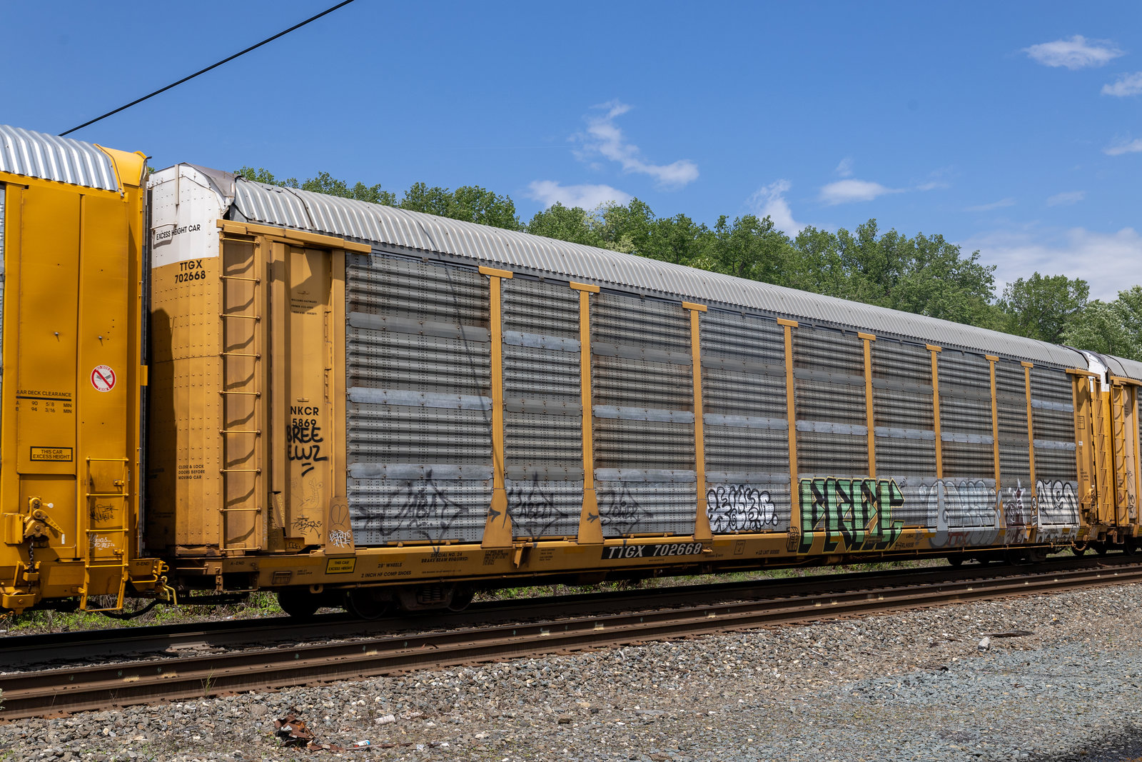 TTGX 702668