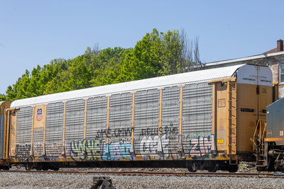 TTGX 974709