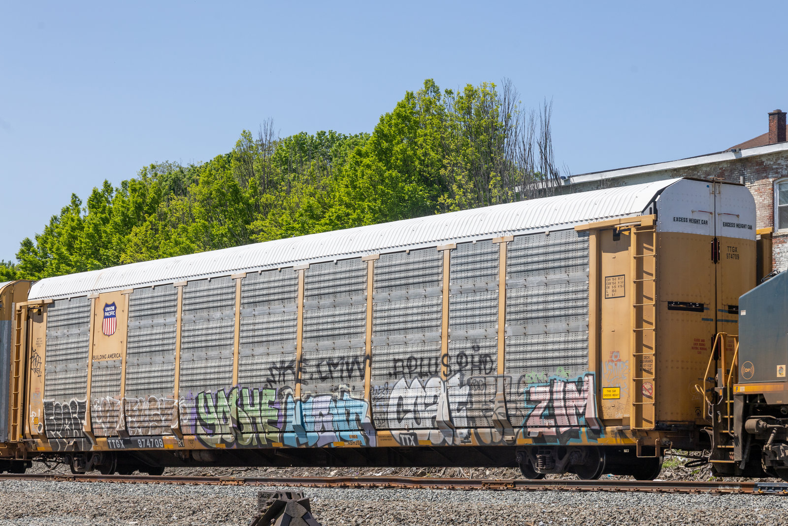 TTGX 974709