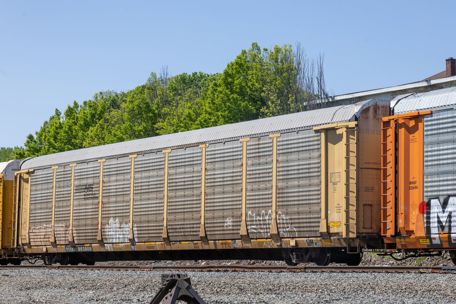 TTGX 983800