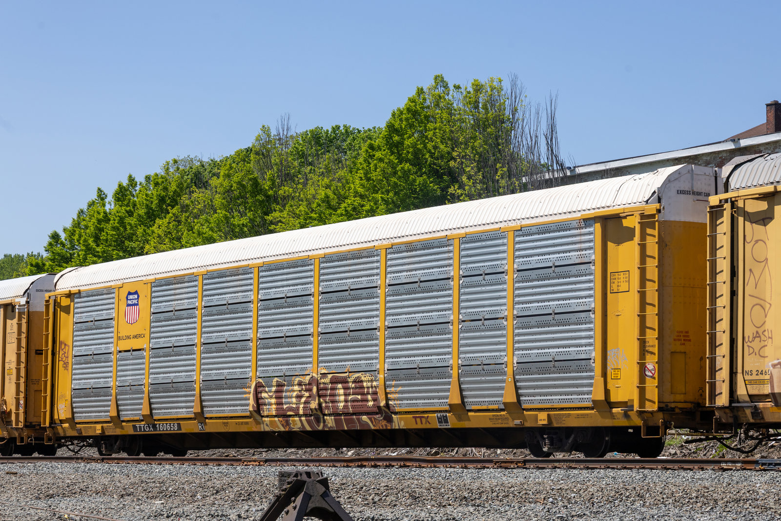 TTGX 160658