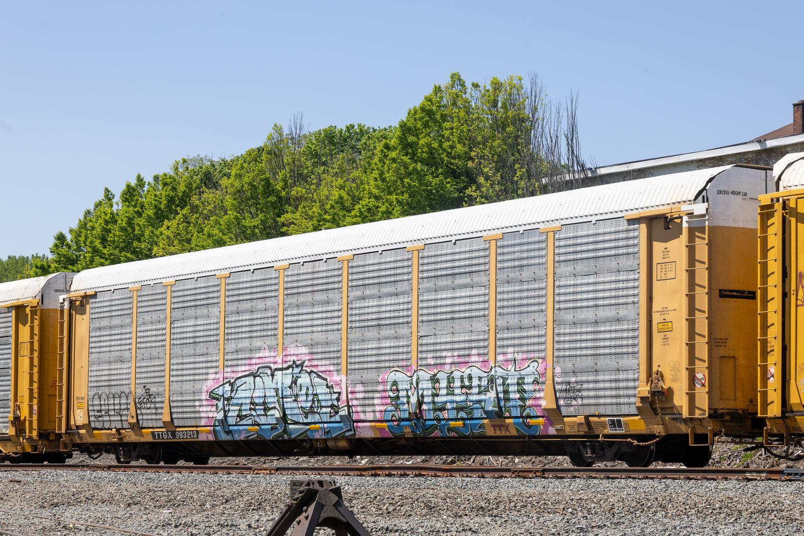 TTGX 993213