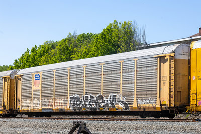 TTGX 996446