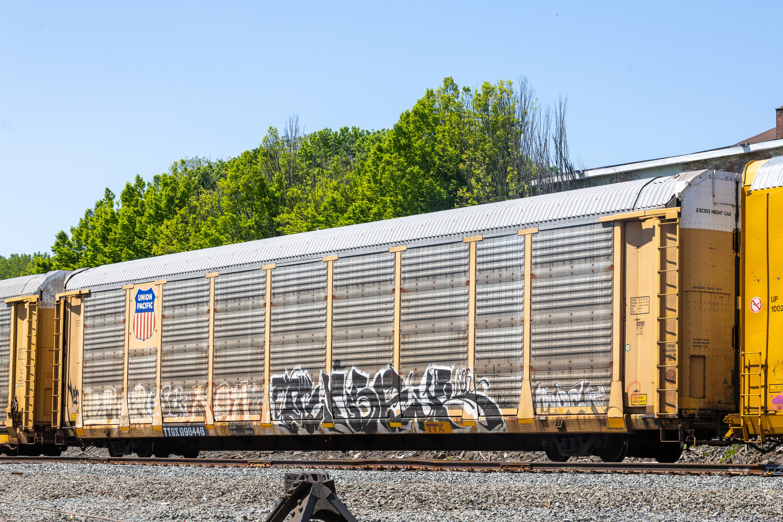 TTGX 996446