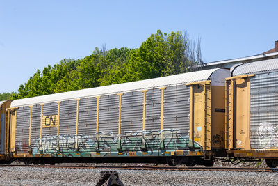 TTGX 964173