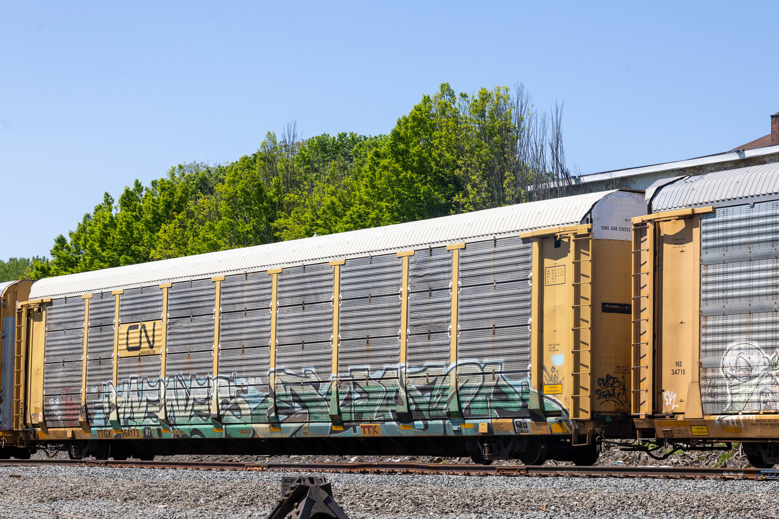 TTGX 964173