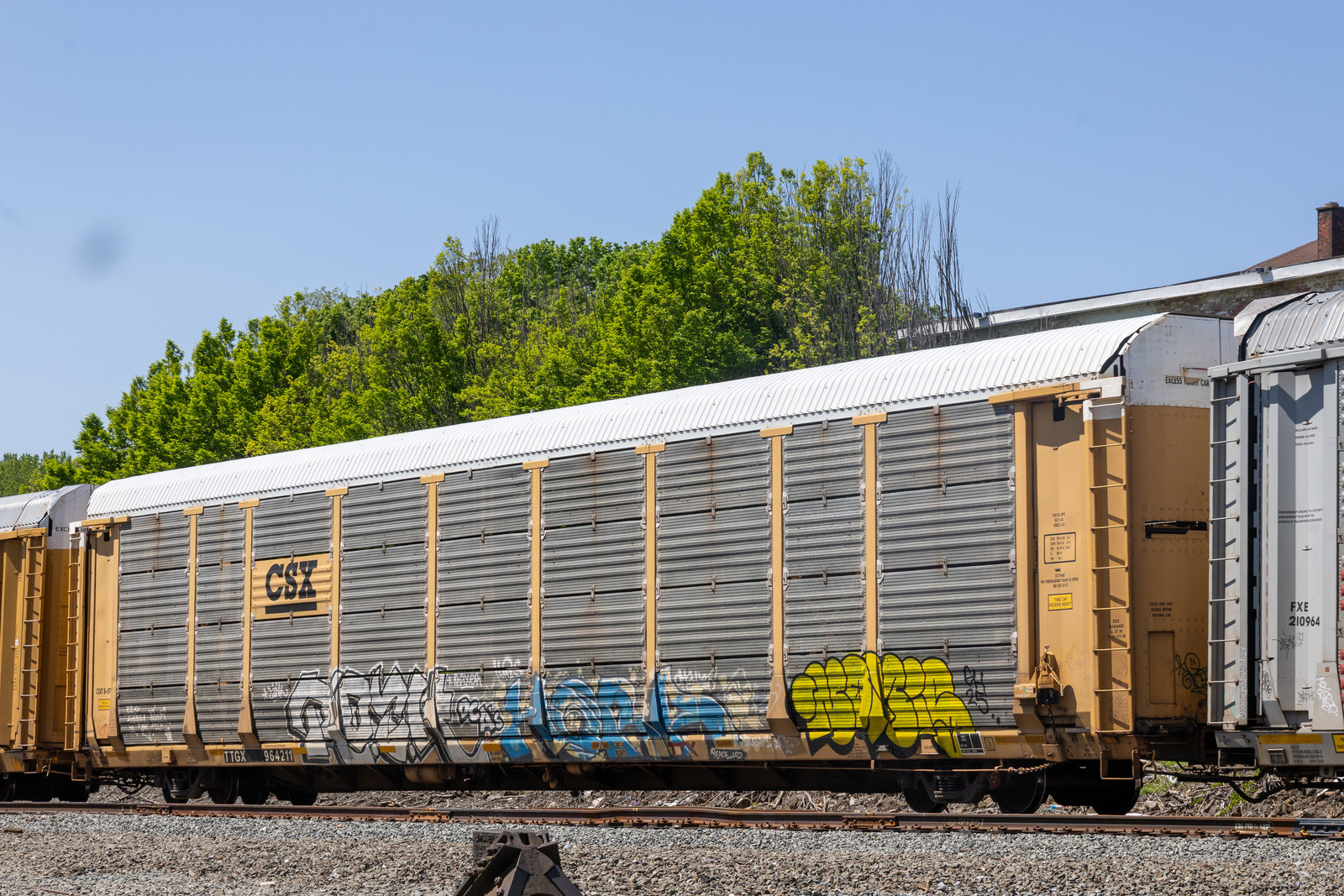 TTGX 964211