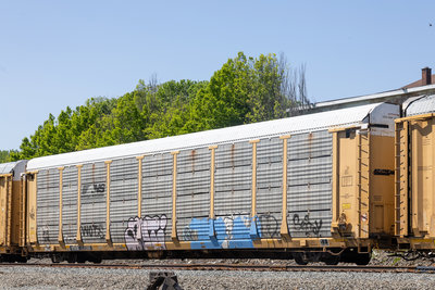TTGX 159386