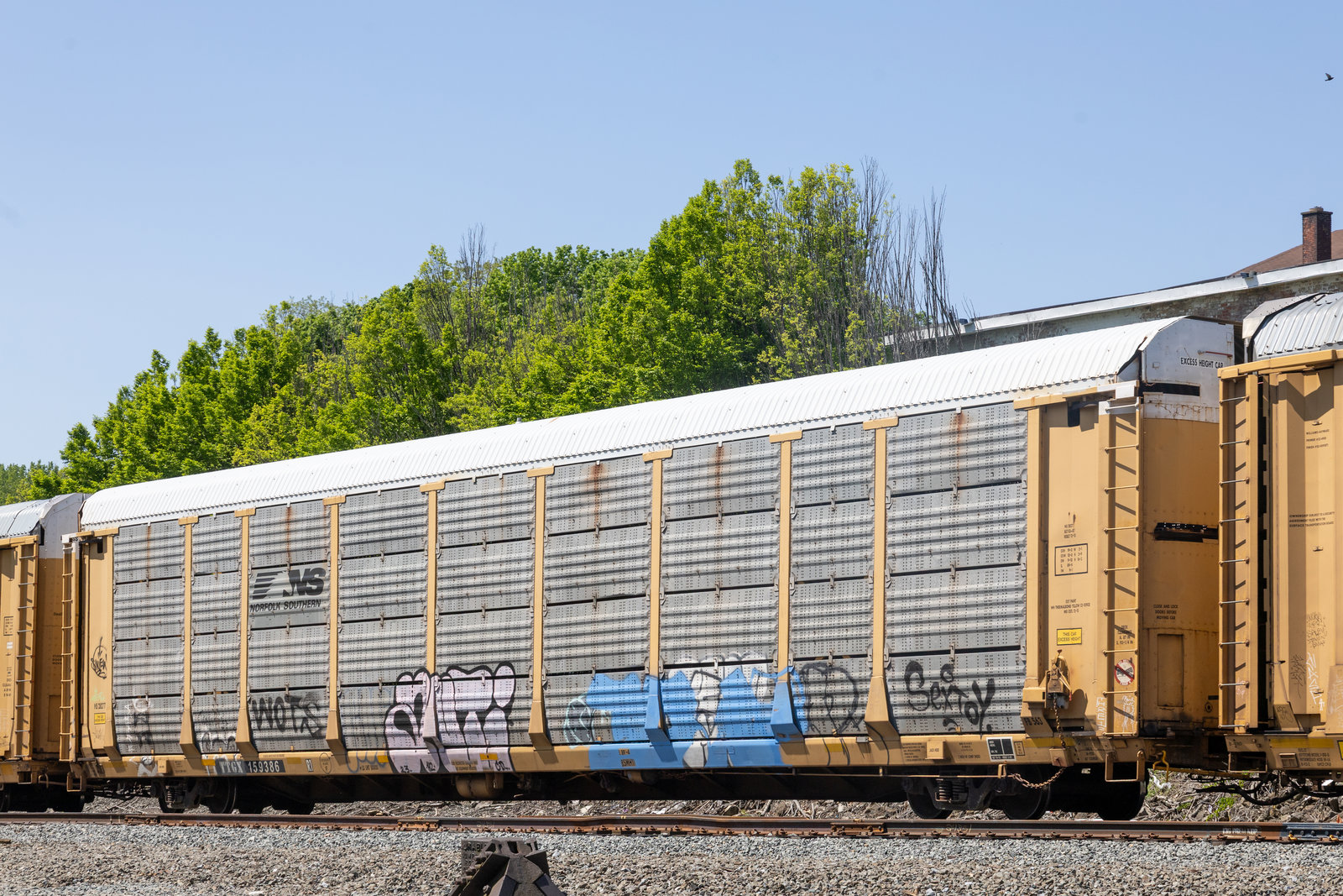TTGX 159386