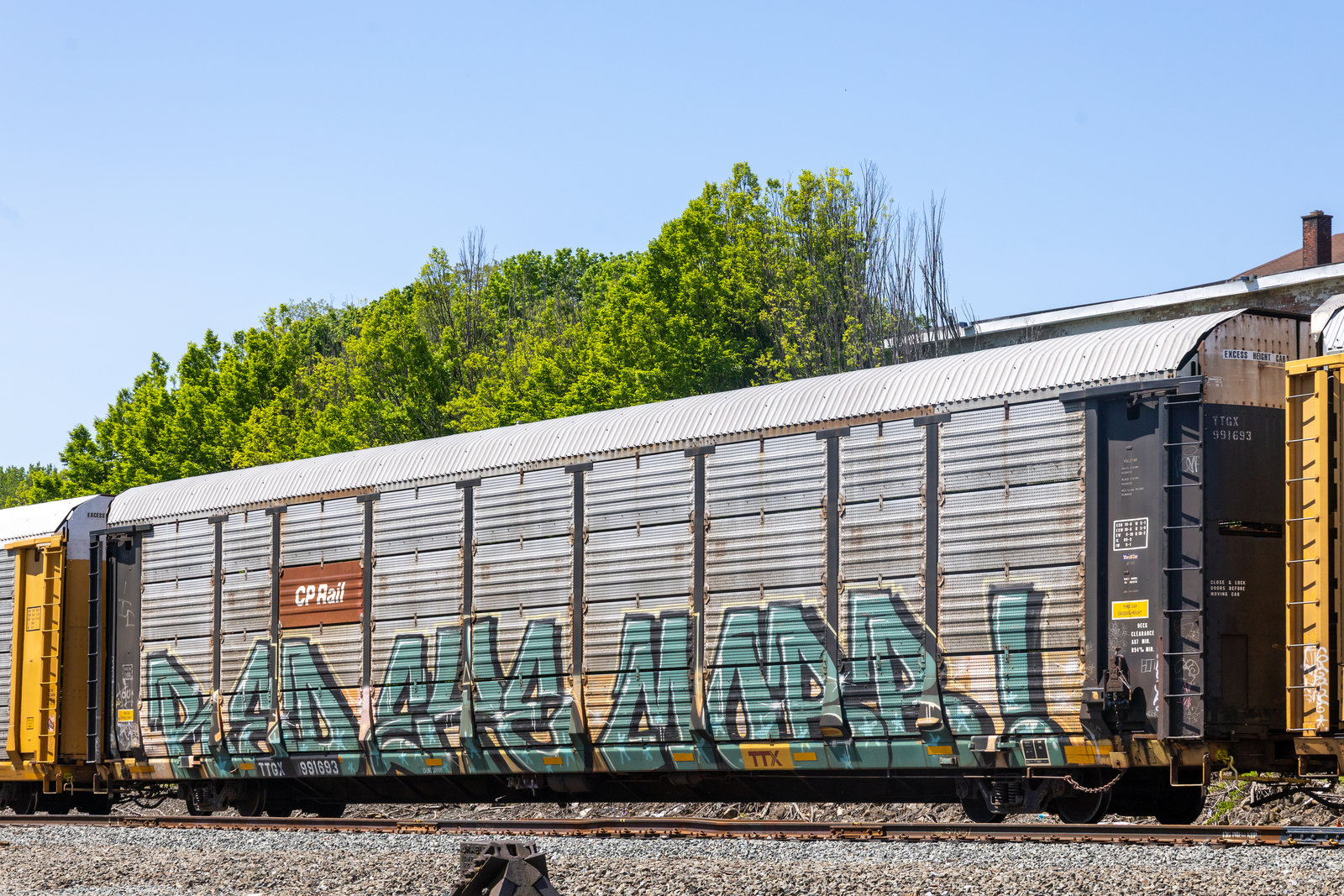 TTGX 991693