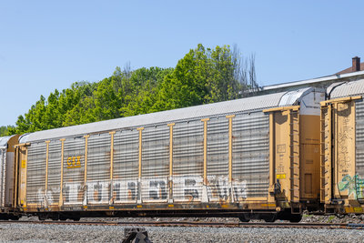 TTGX 995990