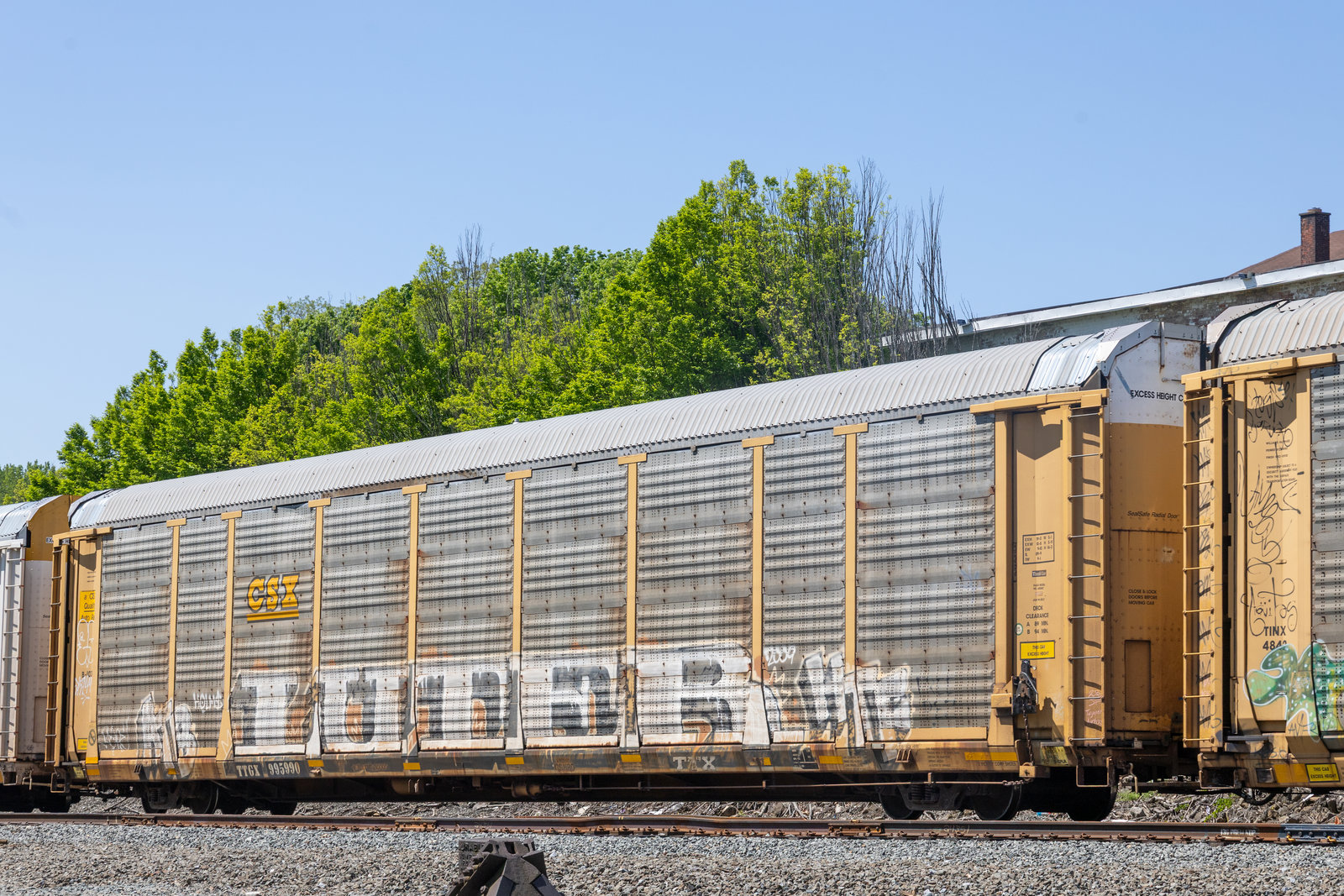 TTGX 995990