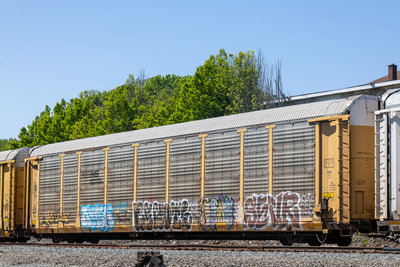 TTGX 996407
