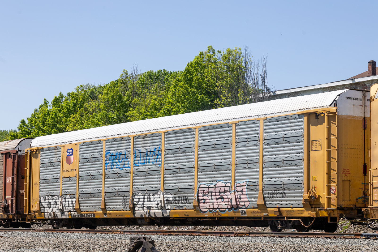 TTGX 981727