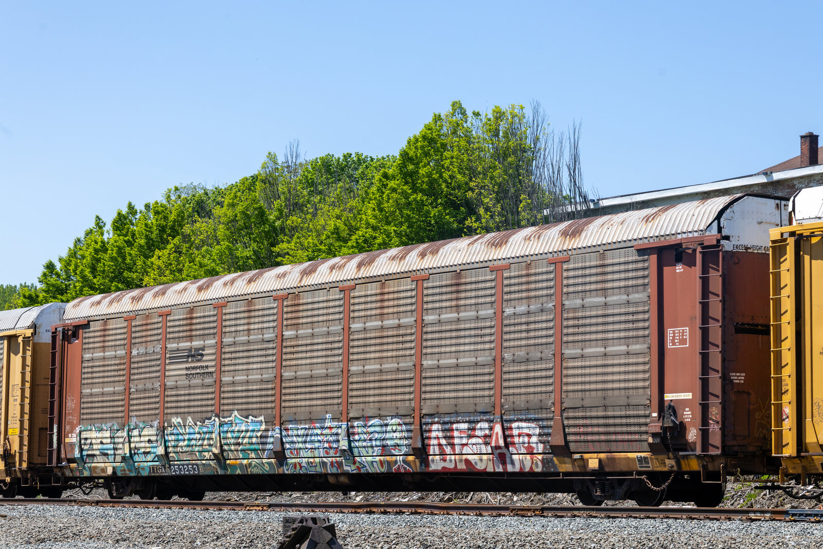TTGX 253253