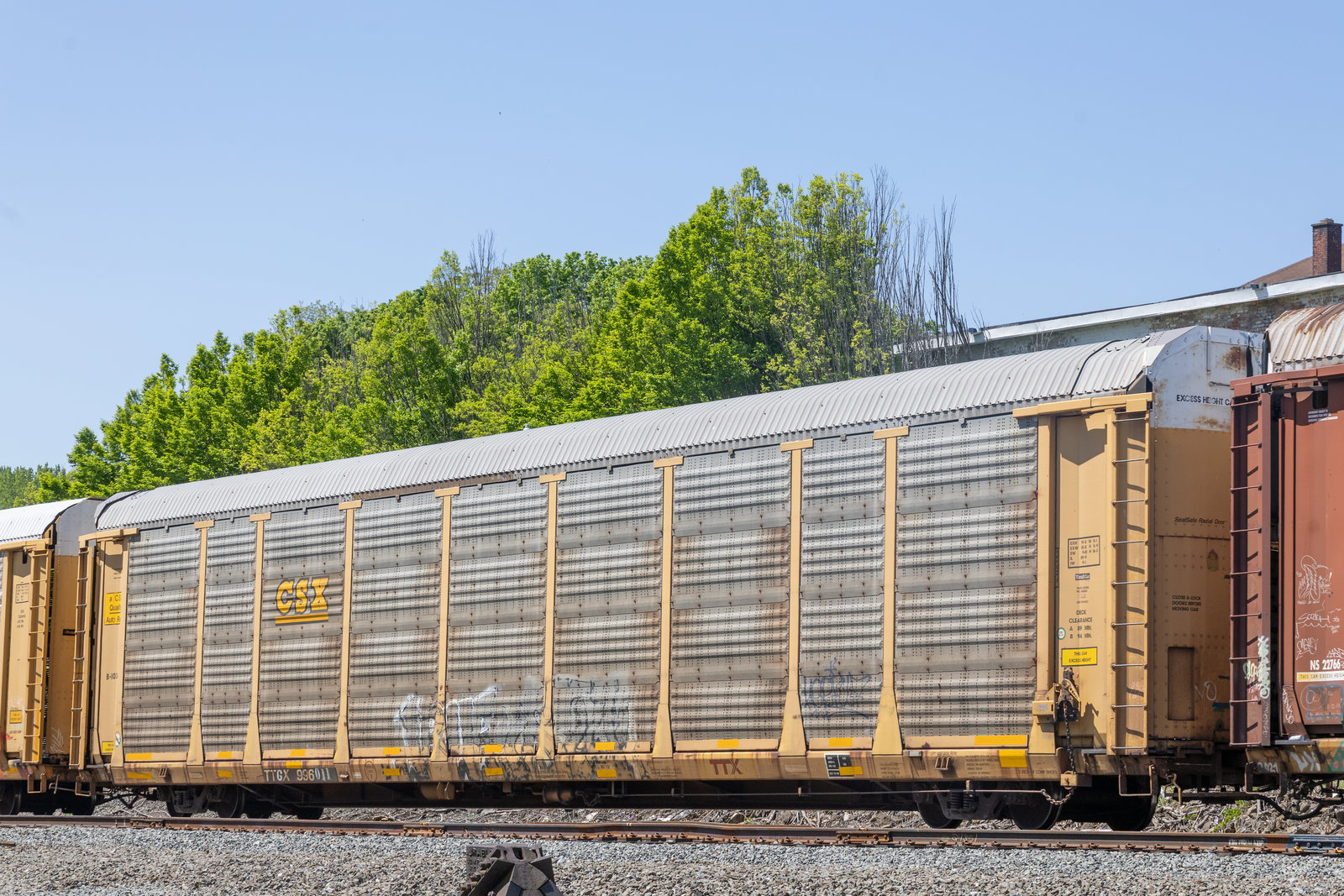 TTGX 996011
