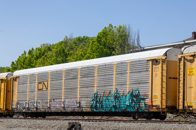 TTGX 979176