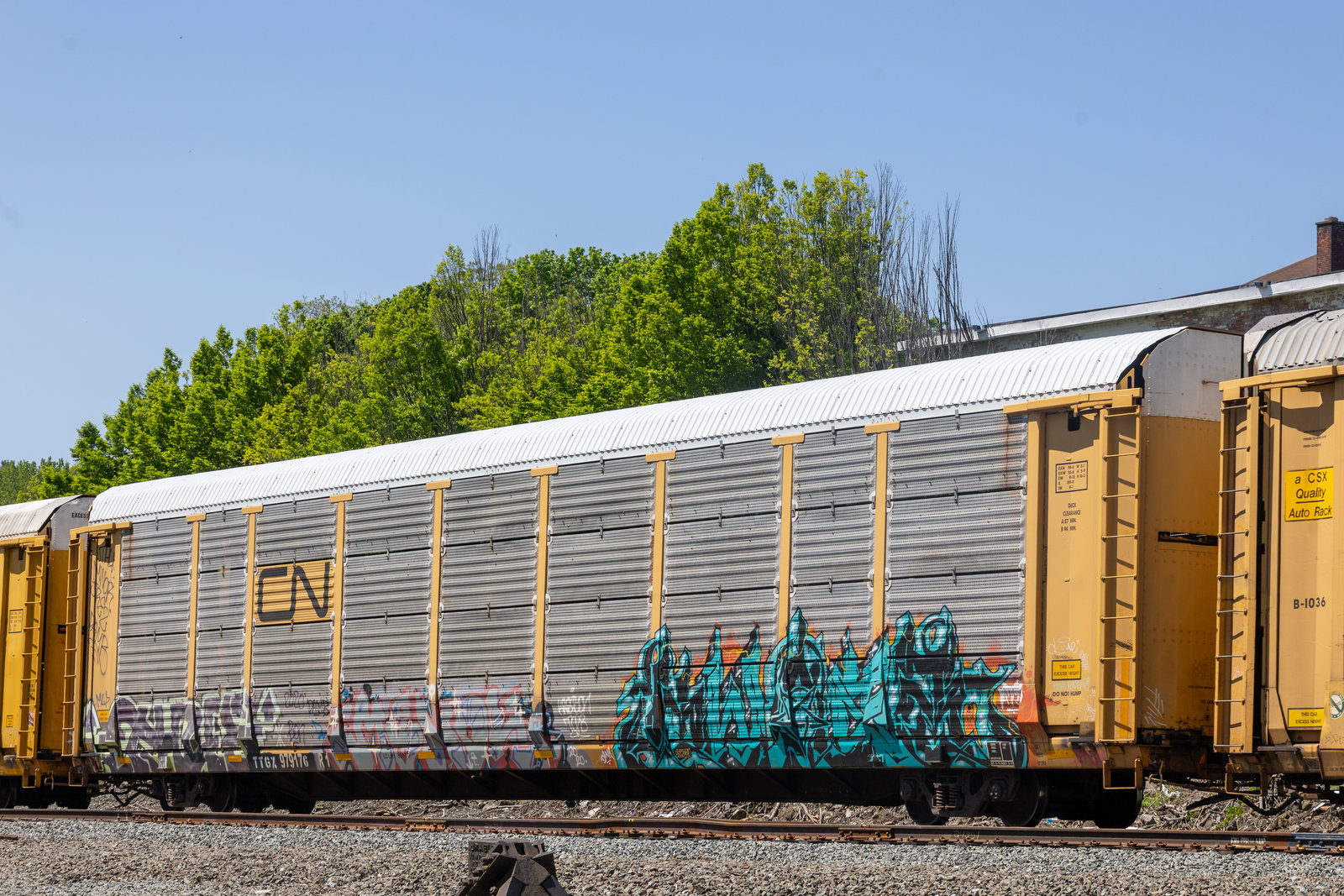 TTGX 979176