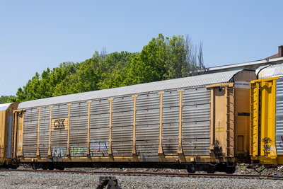 TTGX 983559