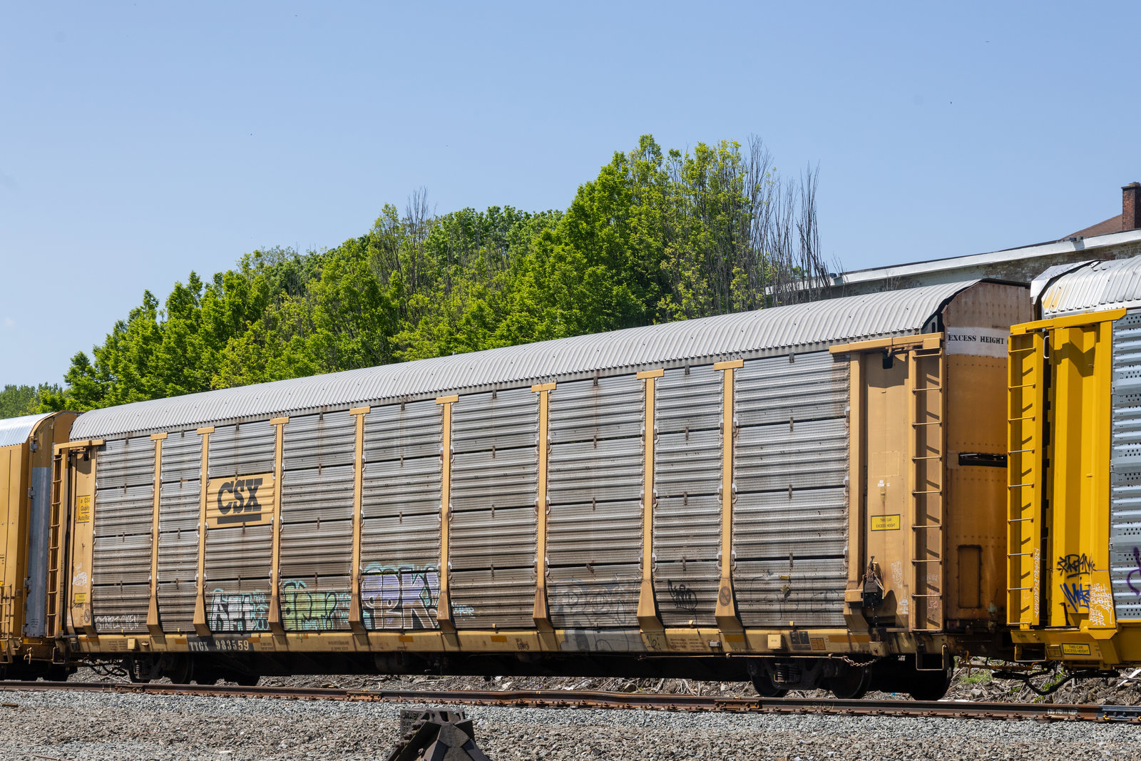 TTGX 983559