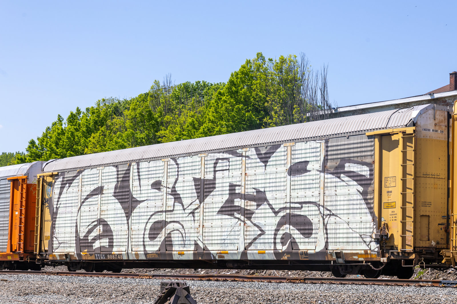 TTGX 986748