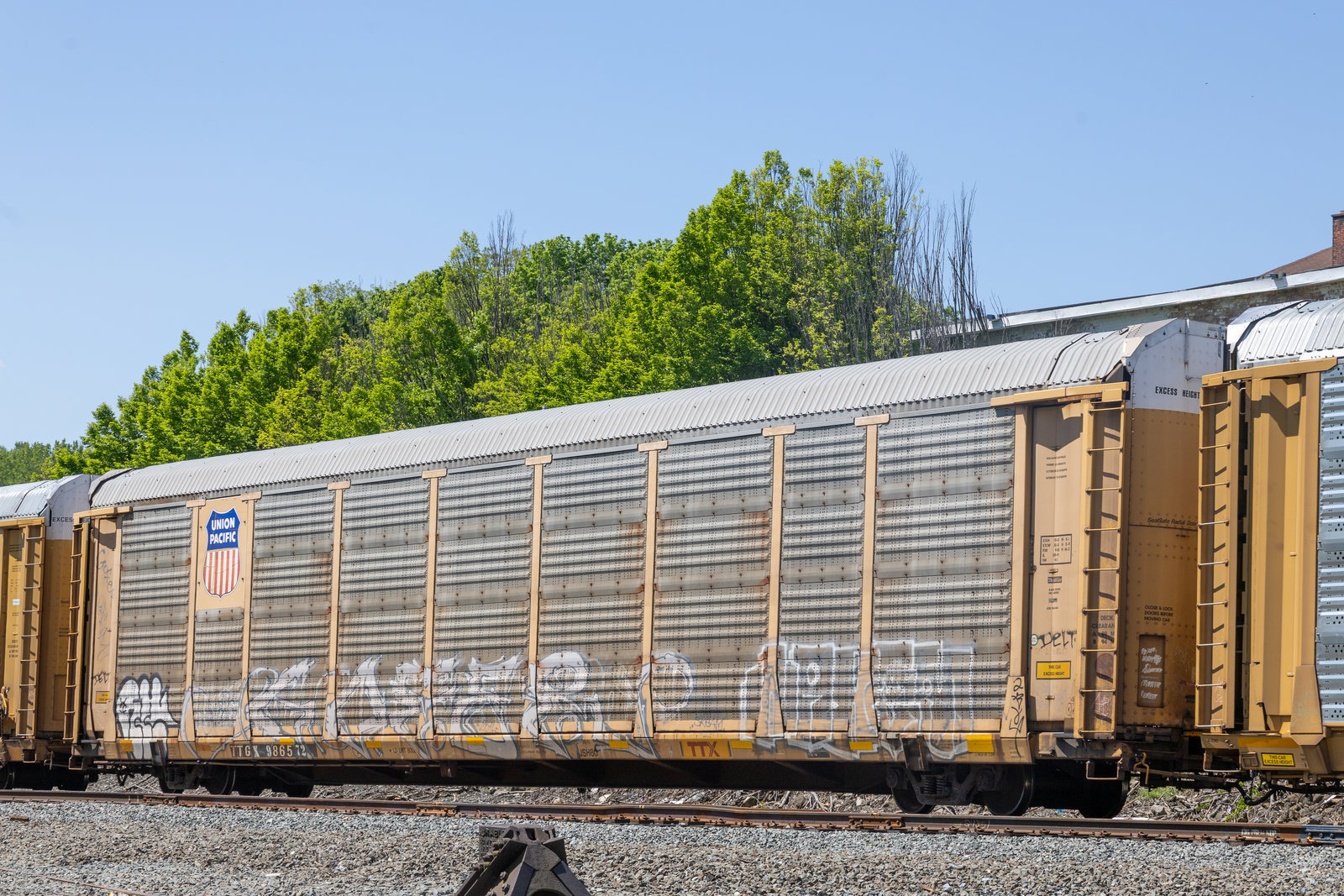TTGX 986572