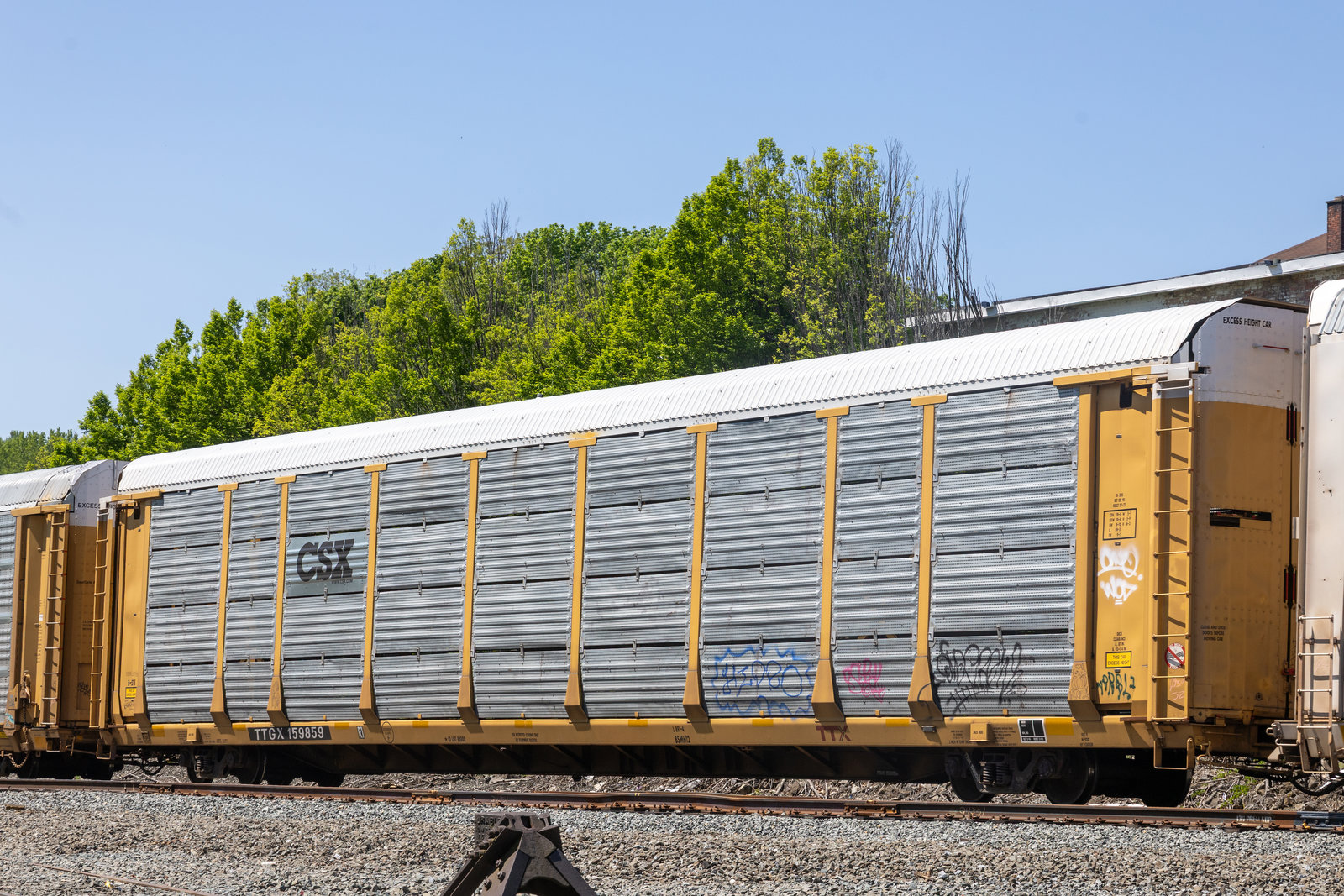 TTGX 159859