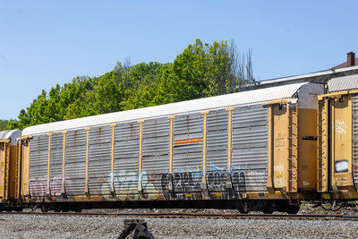 TTGX 978876