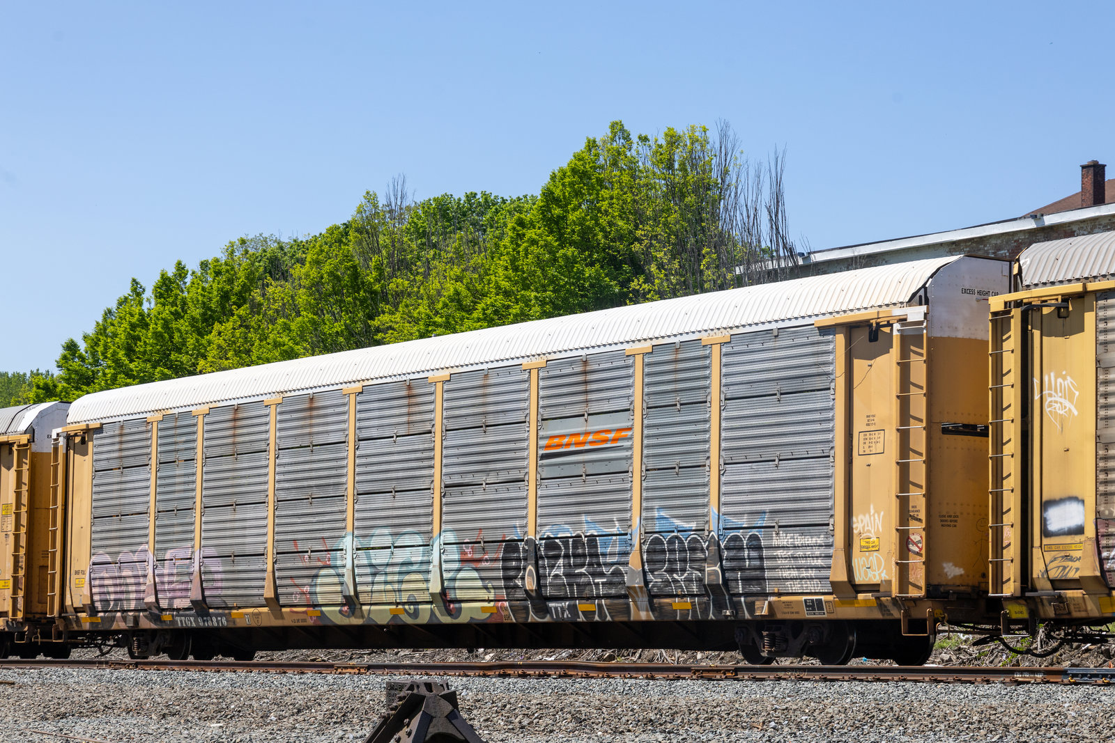 TTGX 978876