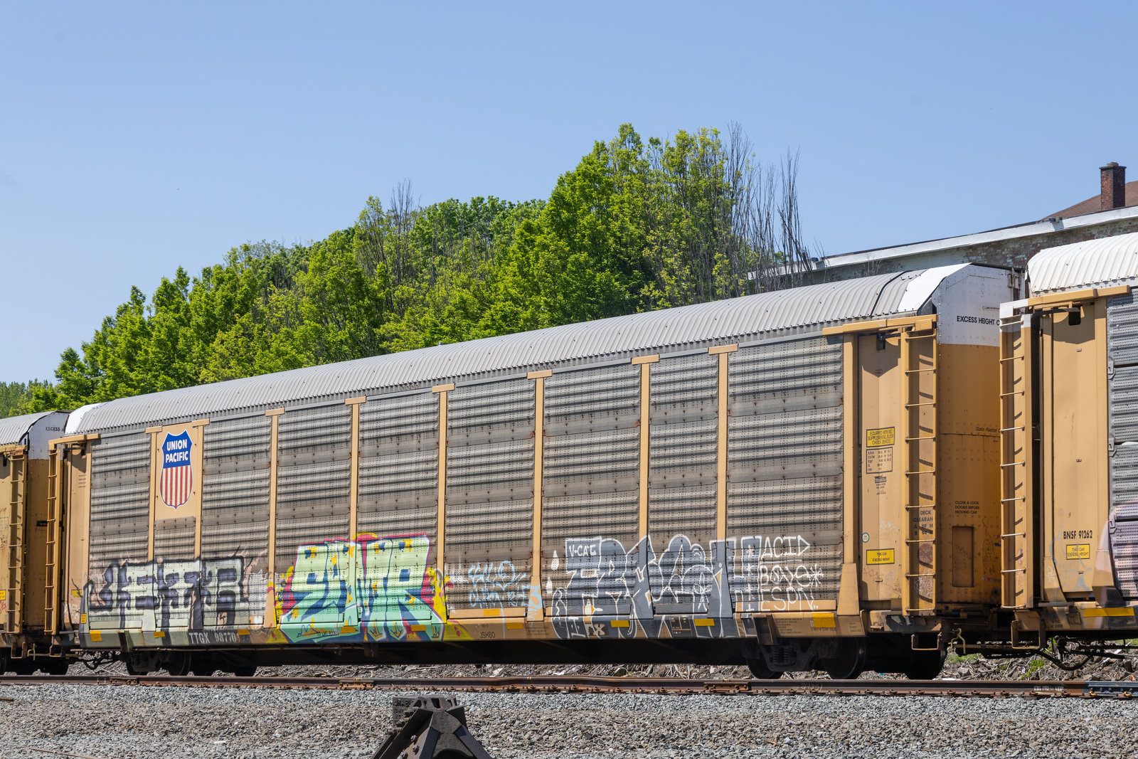 TTGX 987704
