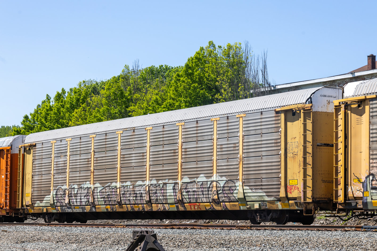 TTGX 963833