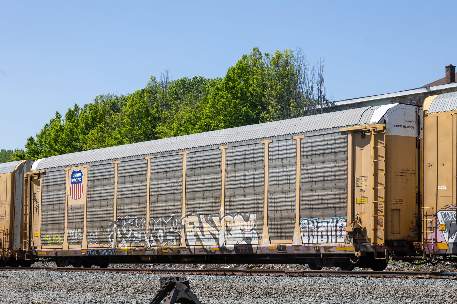 TTGX 996653