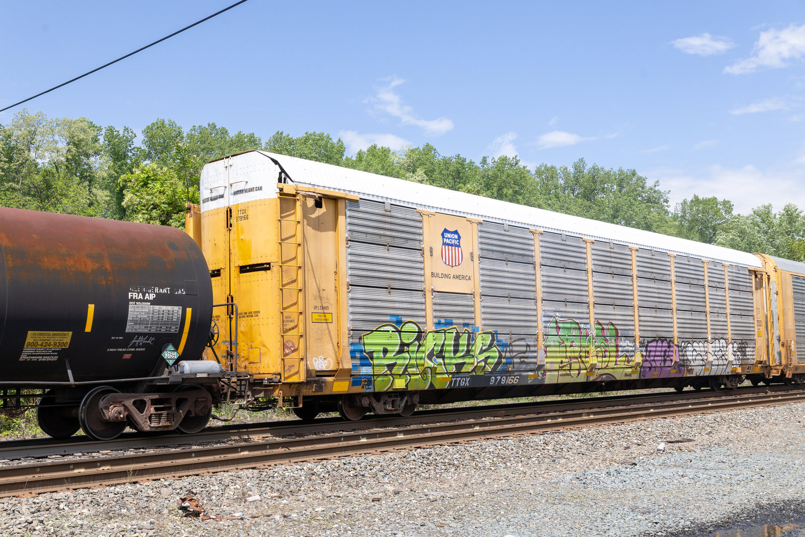 TTGX 979166