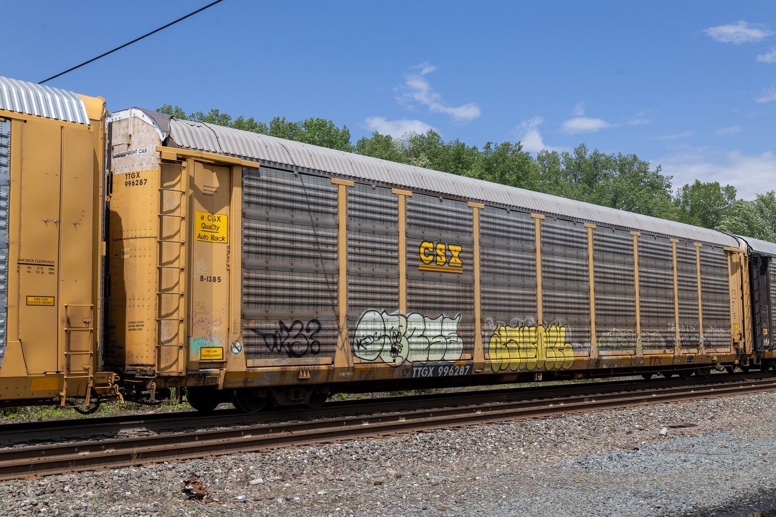 TTGX 996287