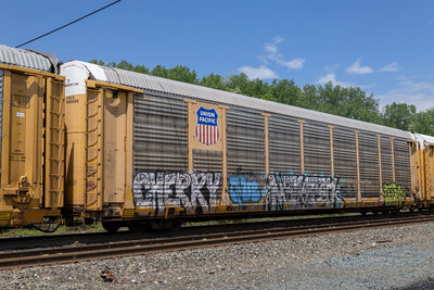 TTGX 988505
