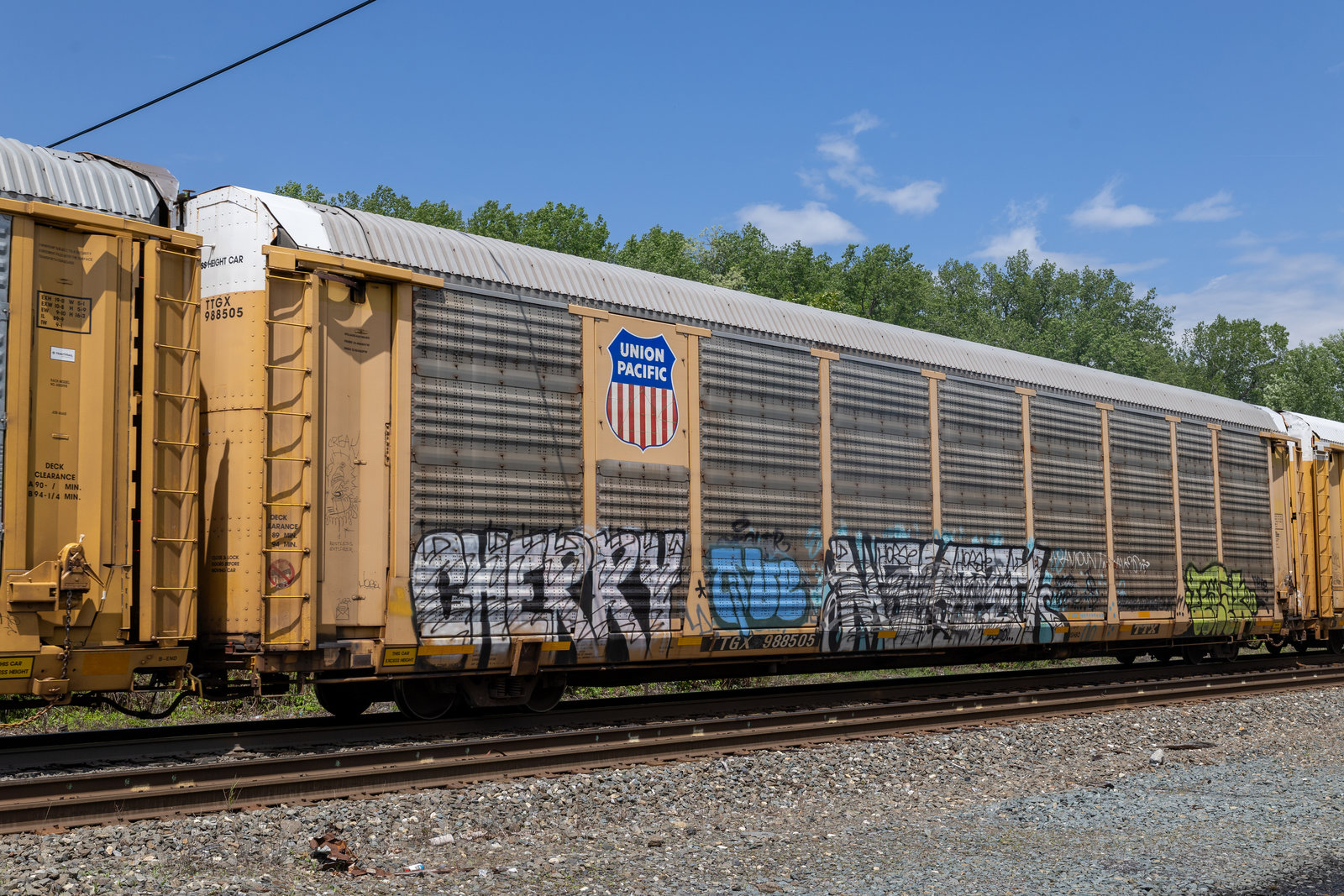 TTGX 988505