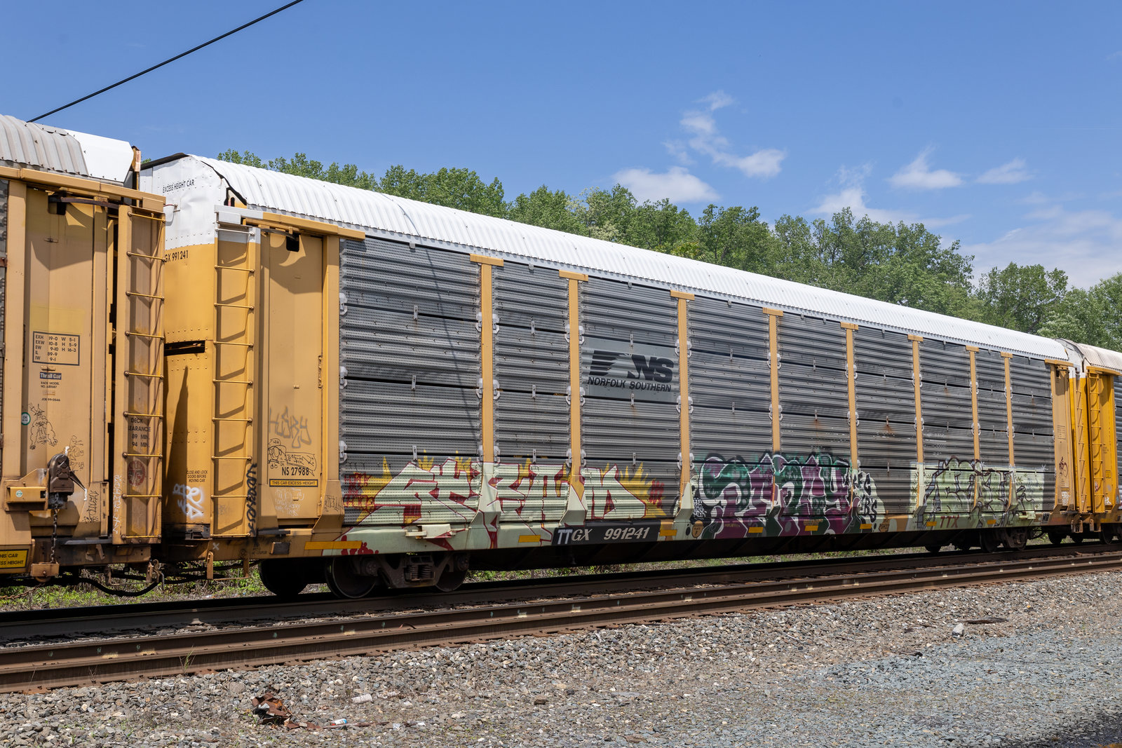 TTGX 991241