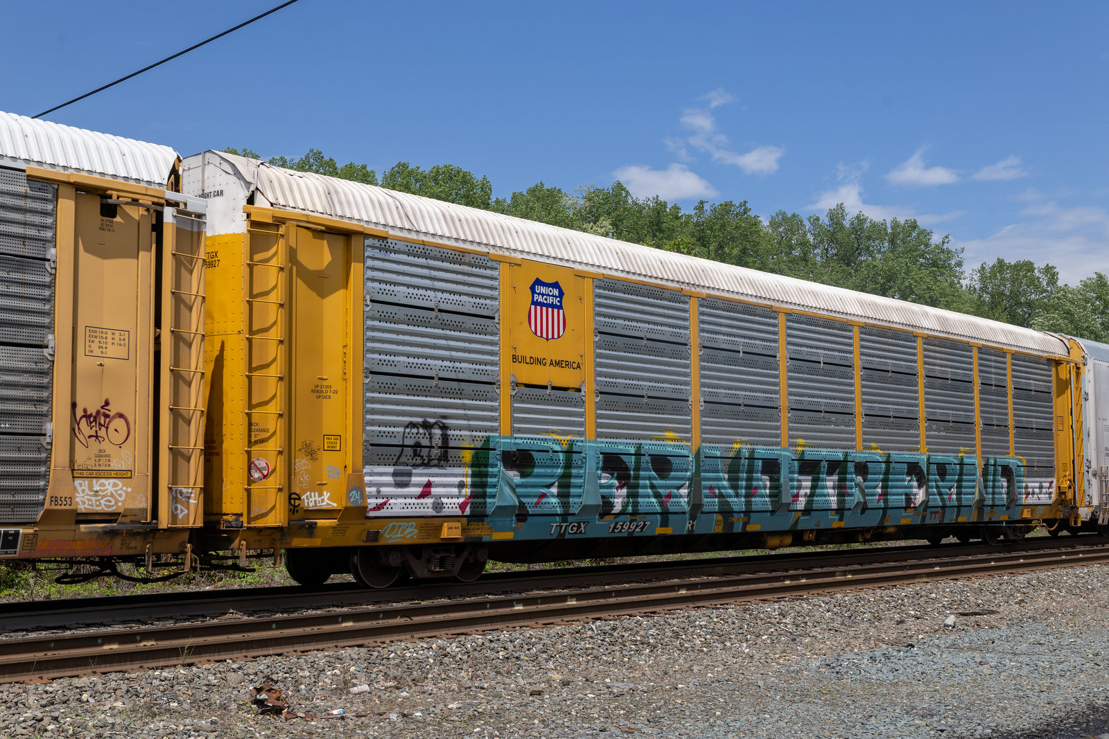 TTGX 159927